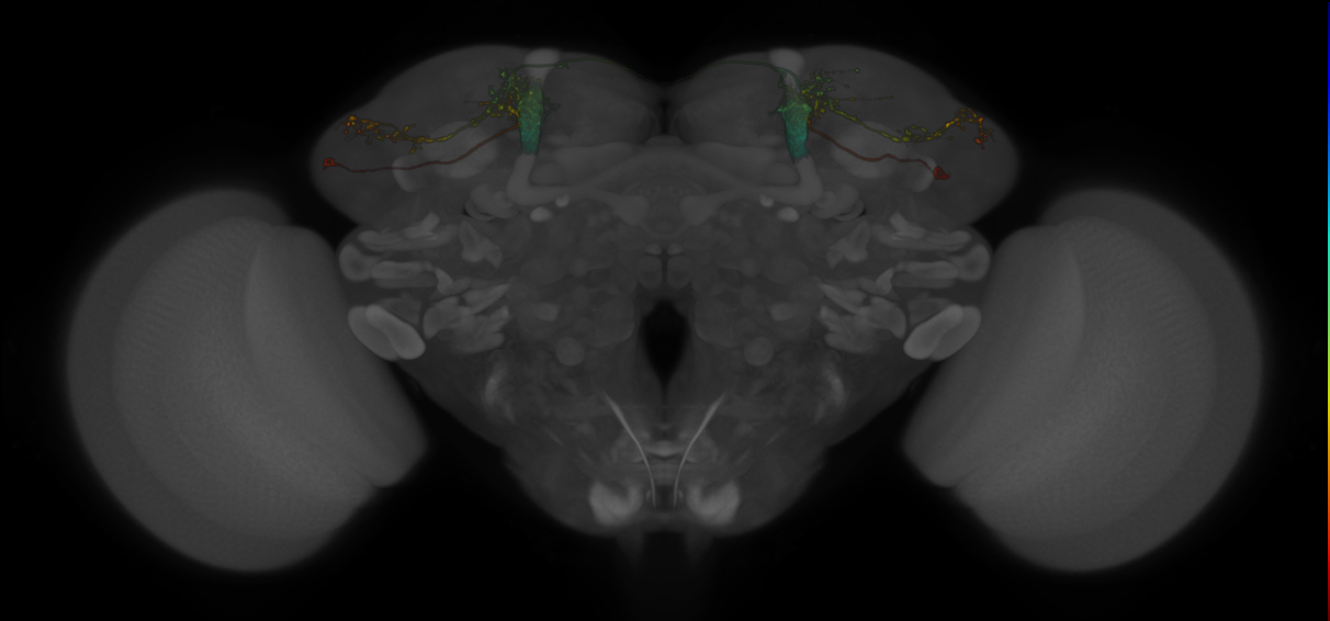 MB-V2 alpha of Aso 2014