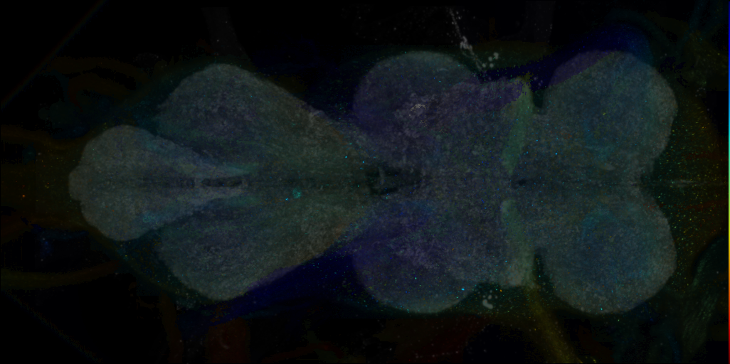 P{VT021725-GAL4} expression pattern