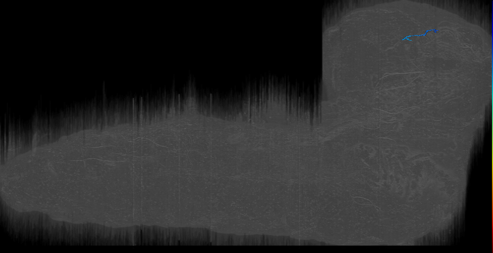 DPMl34 pos s 2 Right (L1EM:12995472)