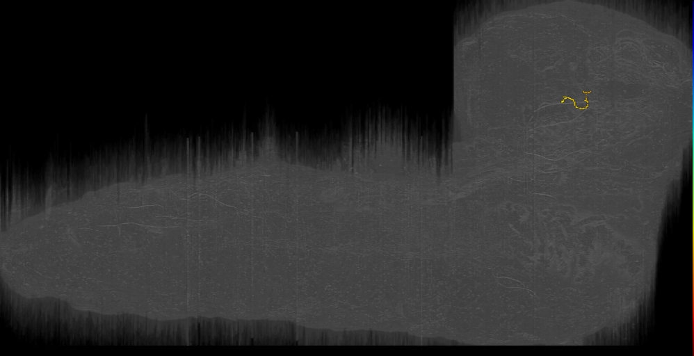 DALcl12 d s 9 Left (L1EM:15078595)