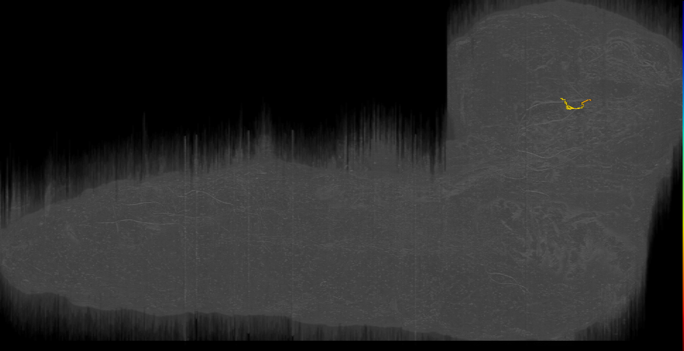 DALcl12 d s 3 Left (L1EM:17102750)