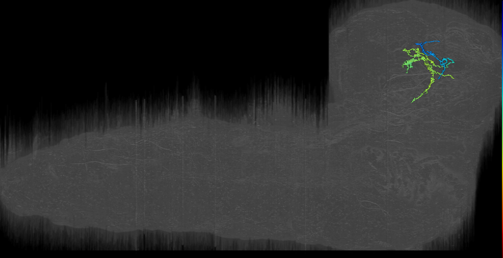 FB2IN-6 (L1EM:3945246)