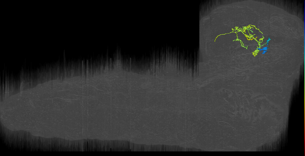 FB2IN-21 (L1EM:14158399)