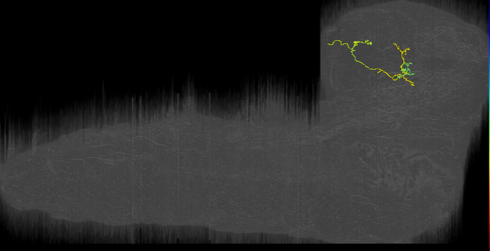 KC (L1EM:8263285)
