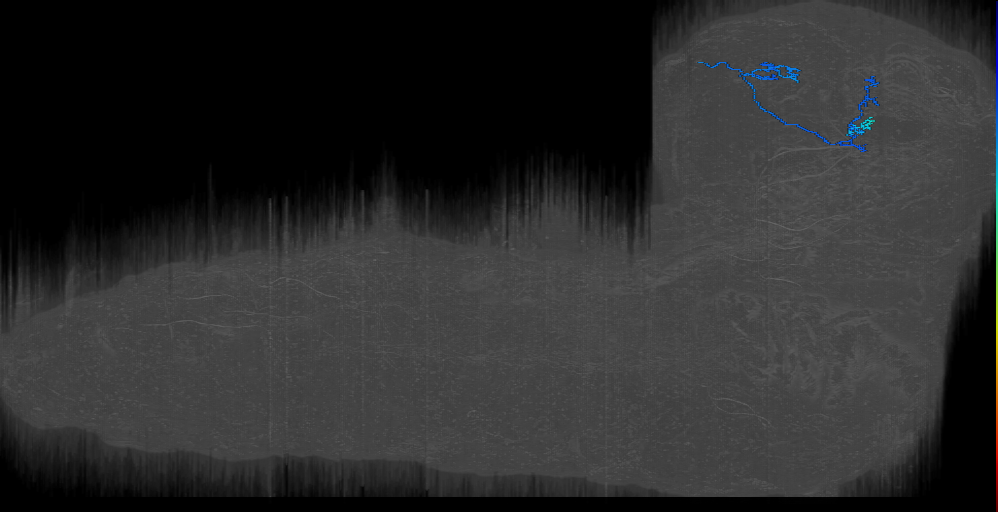 KC (L1EM:10259967)
