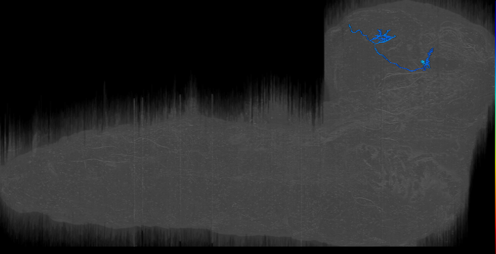KC (L1EM:16625432)