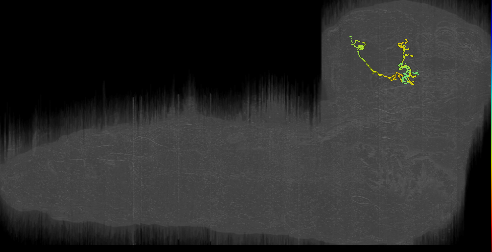 KC (L1EM:16629788)