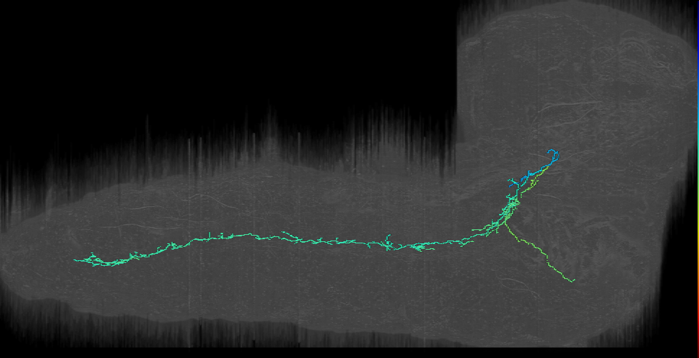 basin-related descending 1 sog_l (L1EM:5268581)