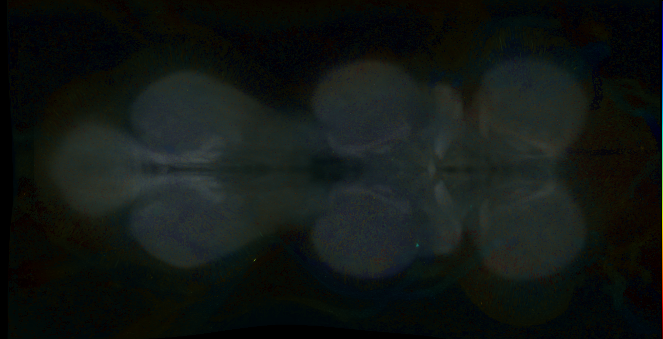 P{GMR11B08-GAL4} expression pattern