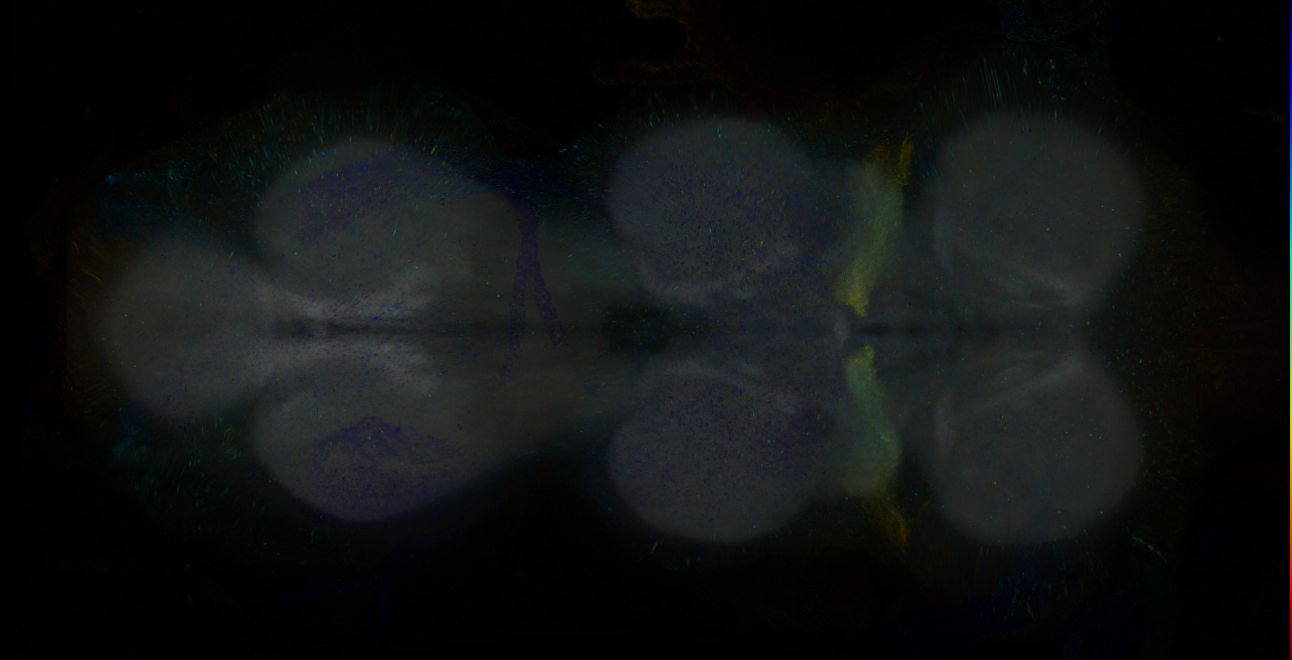 P{GMR12B03-GAL4} expression pattern