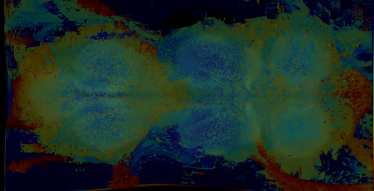 P{GMR13C07-GAL4} expression pattern