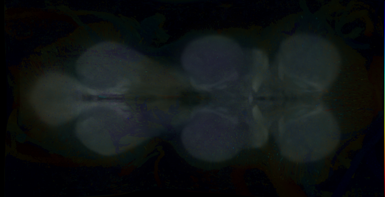 P{GMR13E01-GAL4} expression pattern