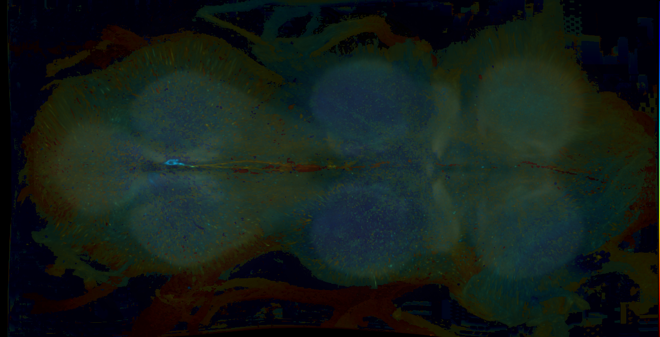 P{GMR13H05-GAL4} expression pattern
