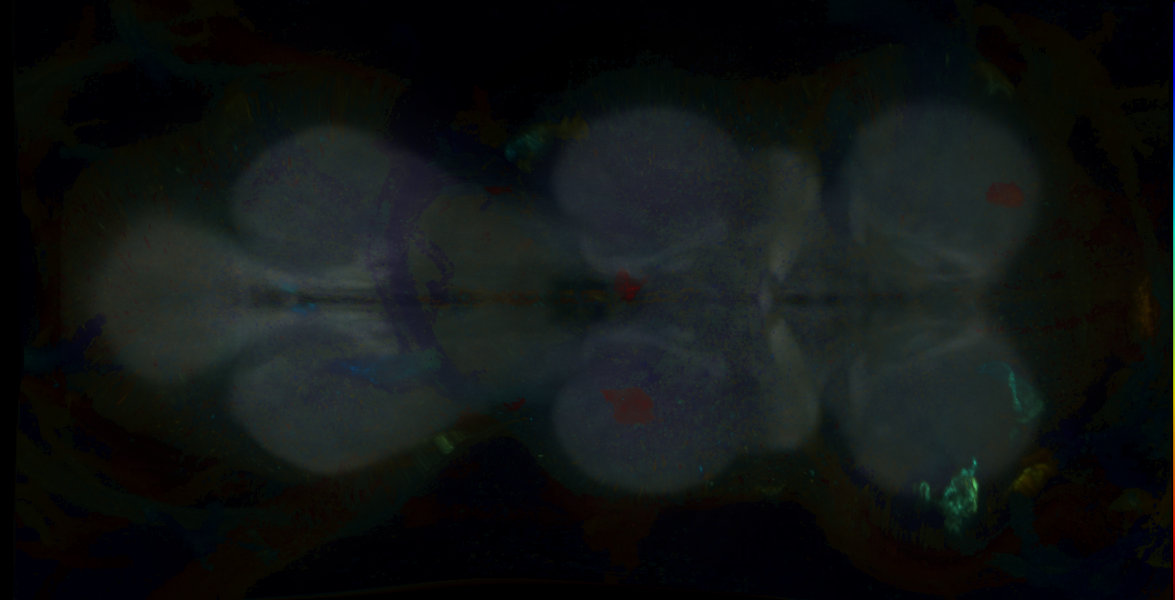 P{GMR14B12-GAL4} expression pattern