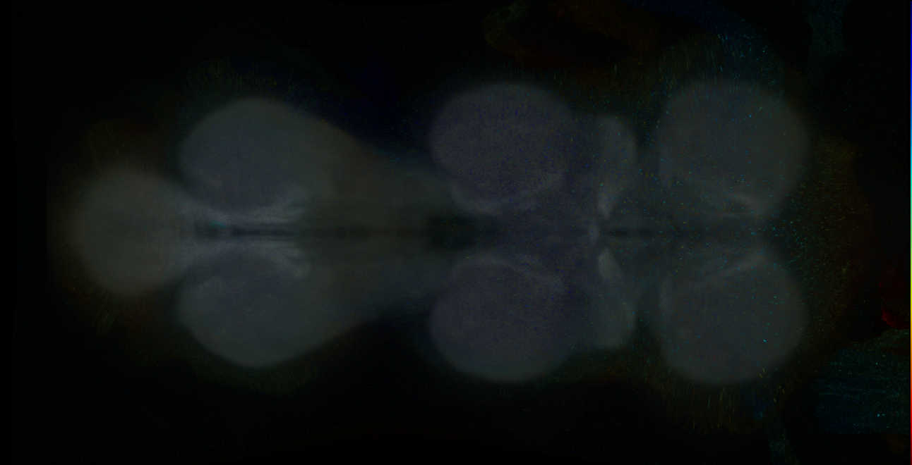 P{GMR15G10-GAL4} expression pattern