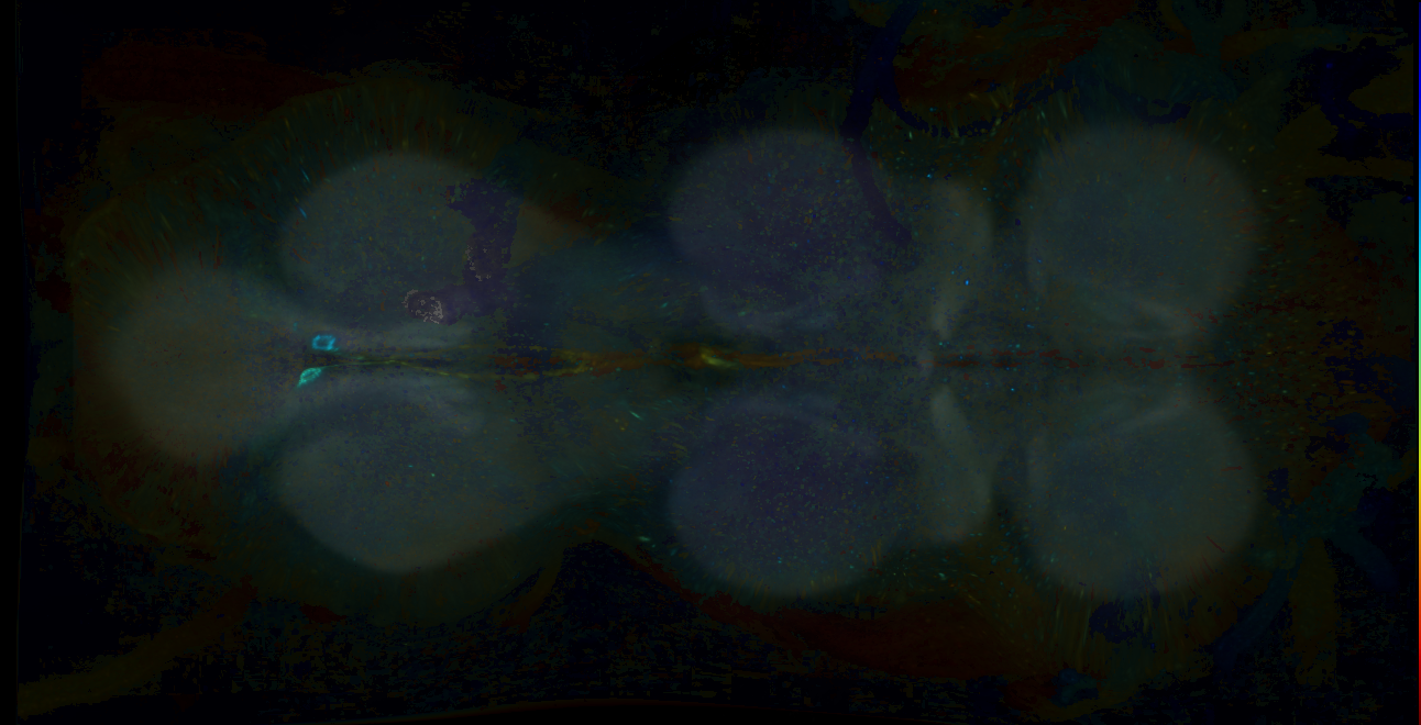 P{GMR15H03-GAL4} expression pattern