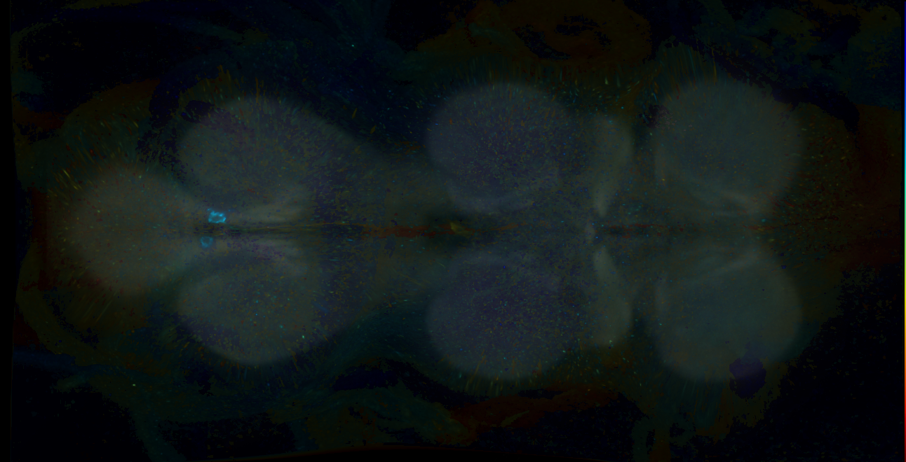 P{GMR16A01-GAL4} expression pattern