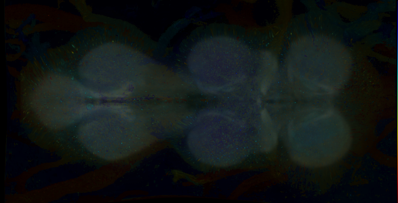 P{GMR16C02-GAL4} expression pattern