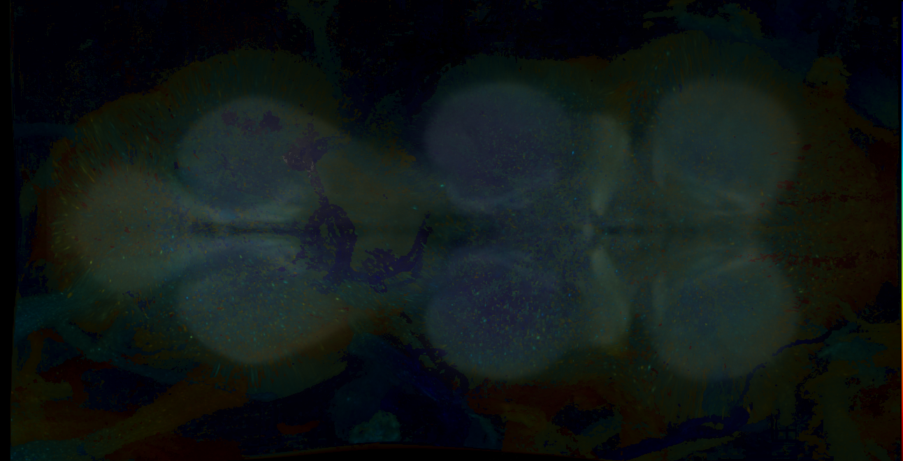 P{GMR16F07-GAL4} expression pattern