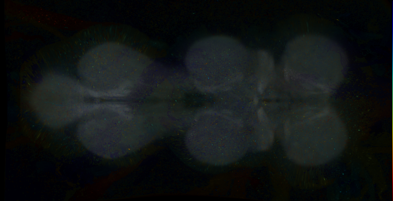 P{GMR16H08-GAL4} expression pattern