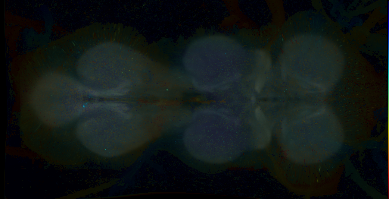 P{GMR17G07-GAL4} expression pattern