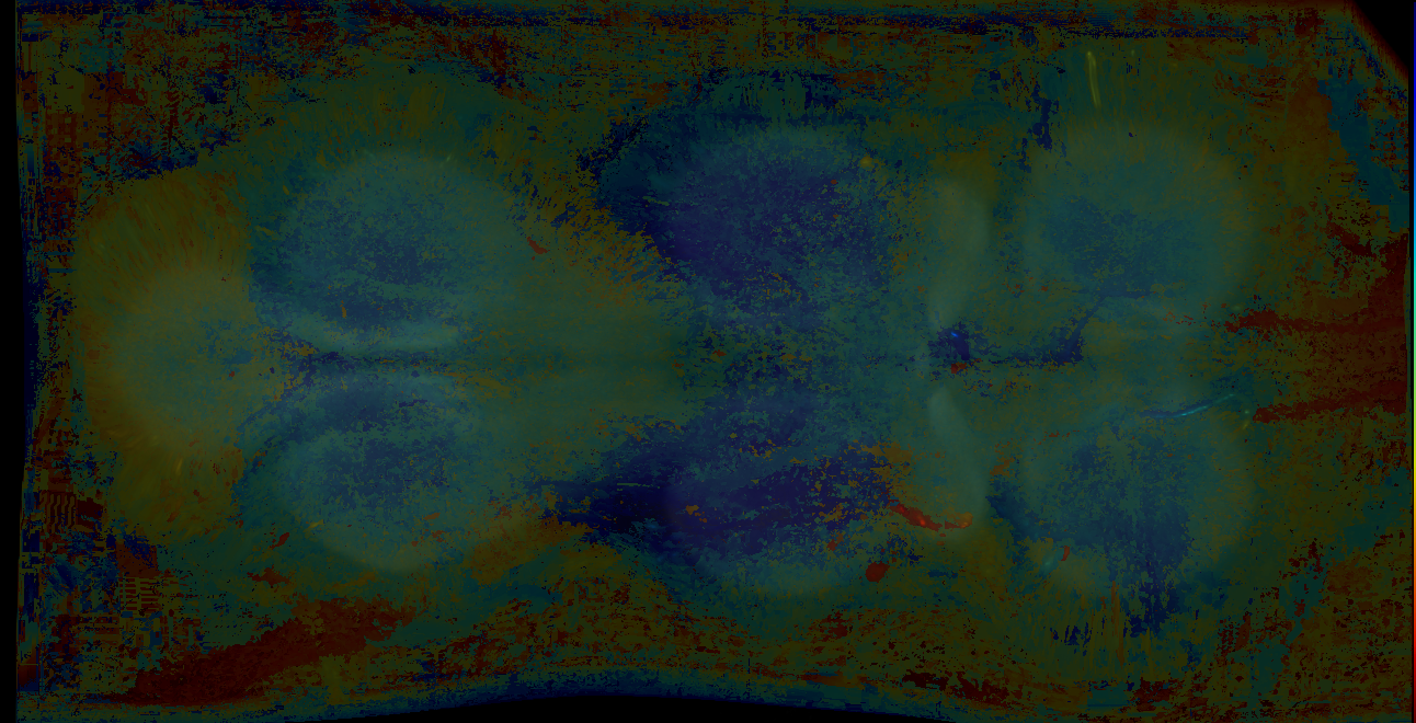 P{GMR17H09-GAL4} expression pattern