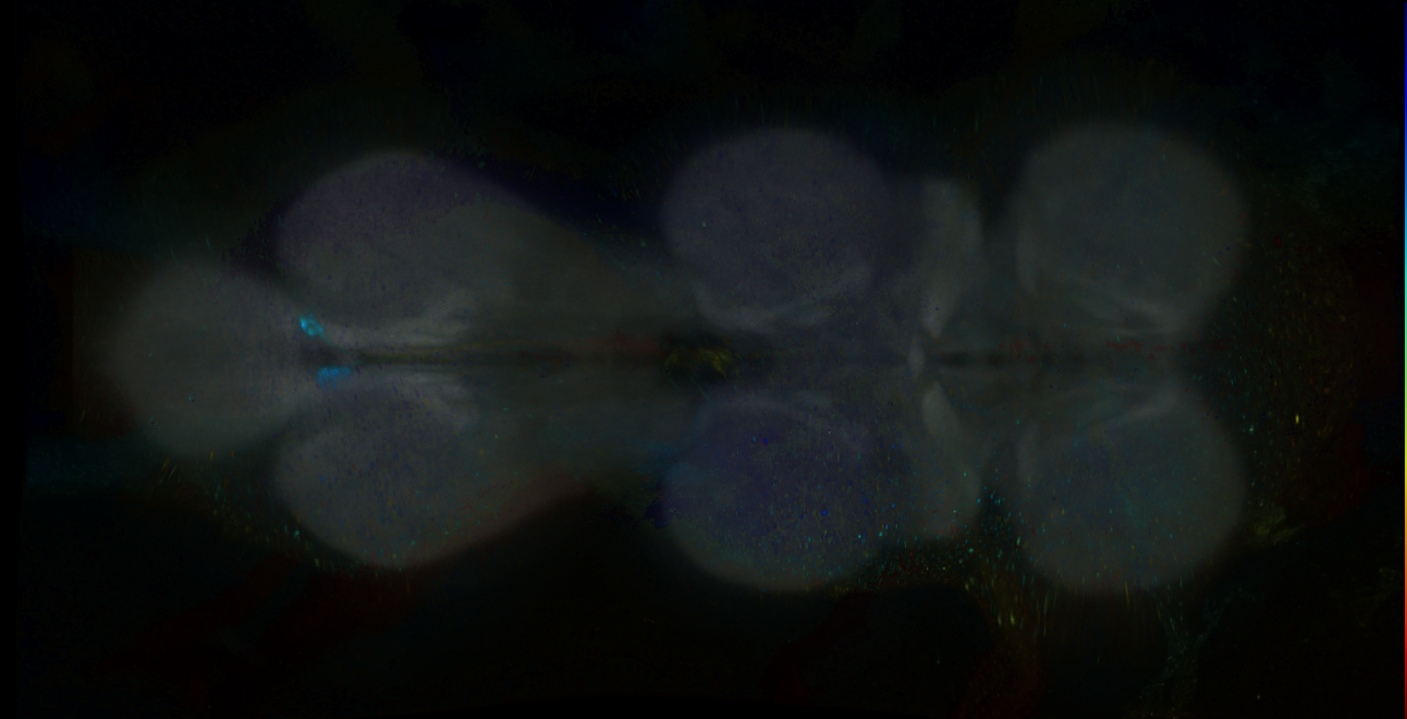 P{GMR18C08-GAL4} expression pattern
