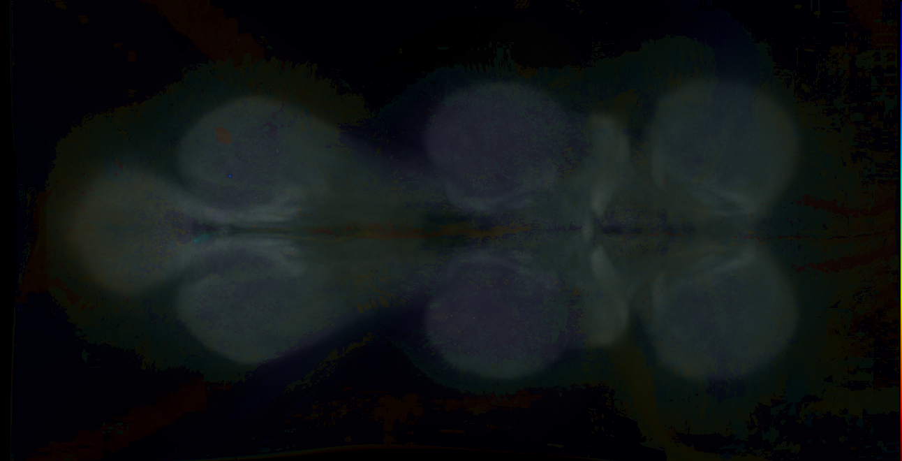 P{GMR23D10-GAL4} expression pattern