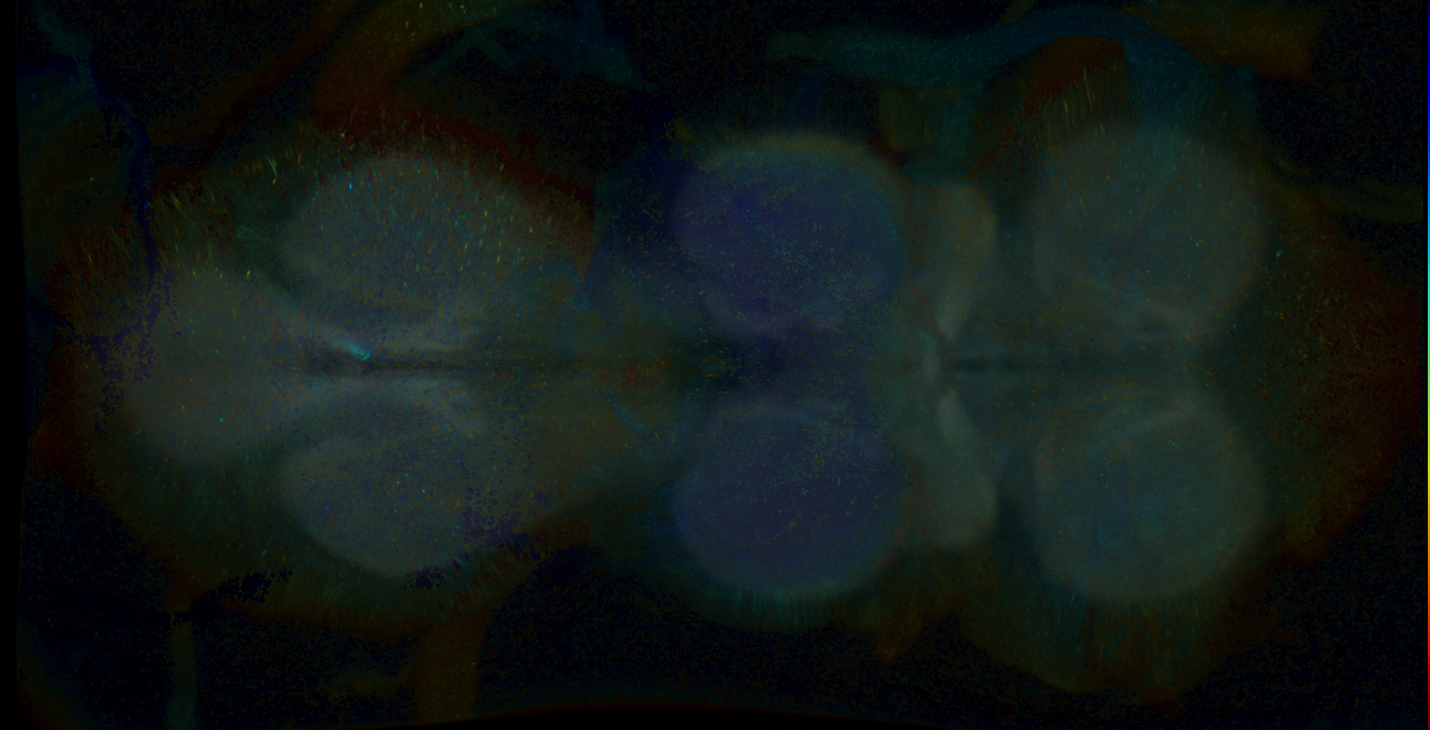 P{GMR23E02-GAL4} expression pattern