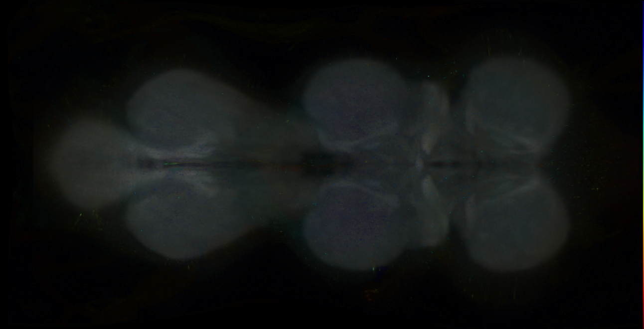 P{GMR27C04-GAL4} expression pattern