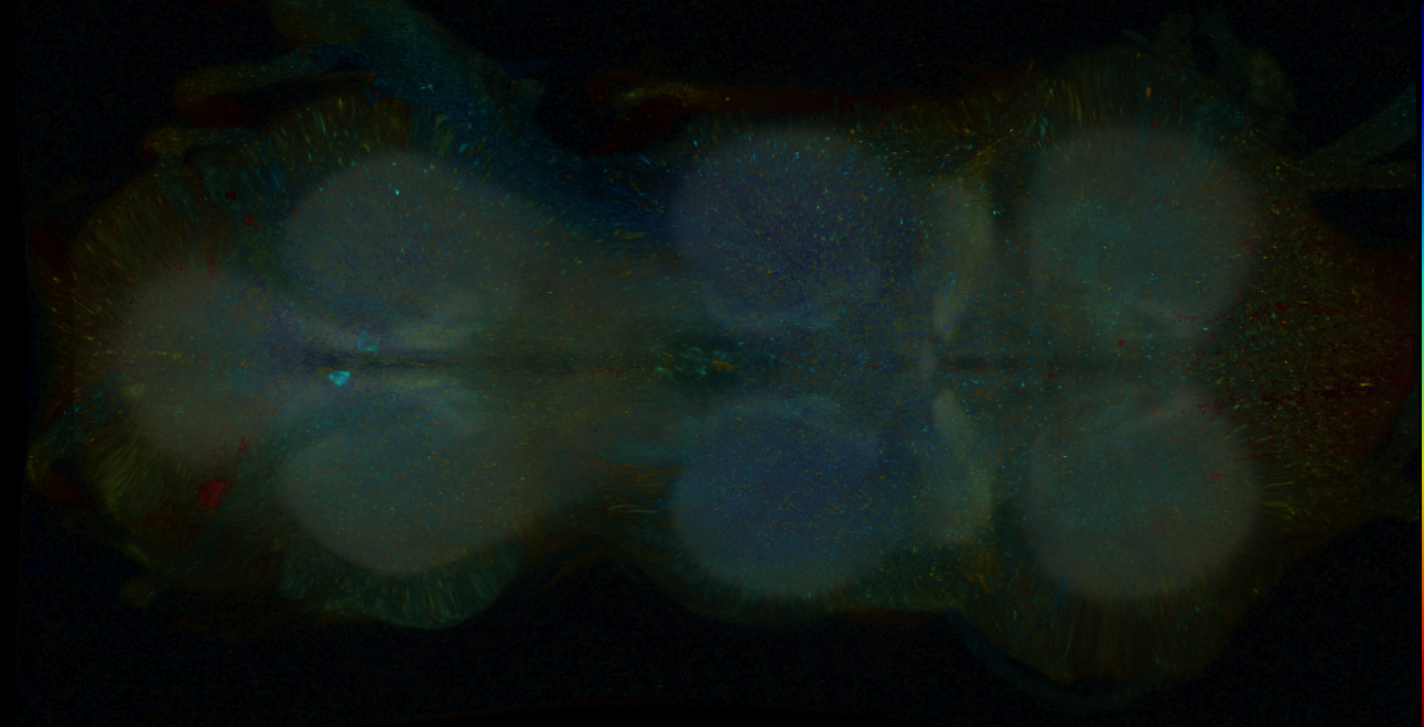 P{GMR27D09-GAL4} expression pattern