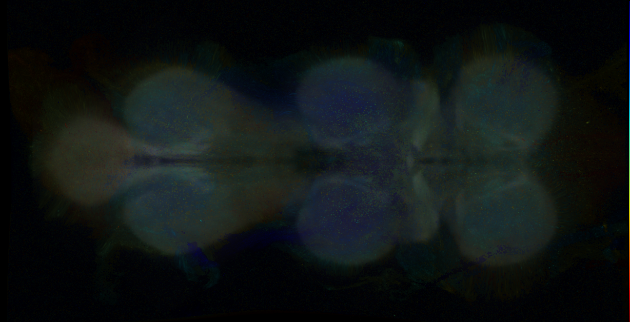 P{GMR28B01-GAL4} expression pattern