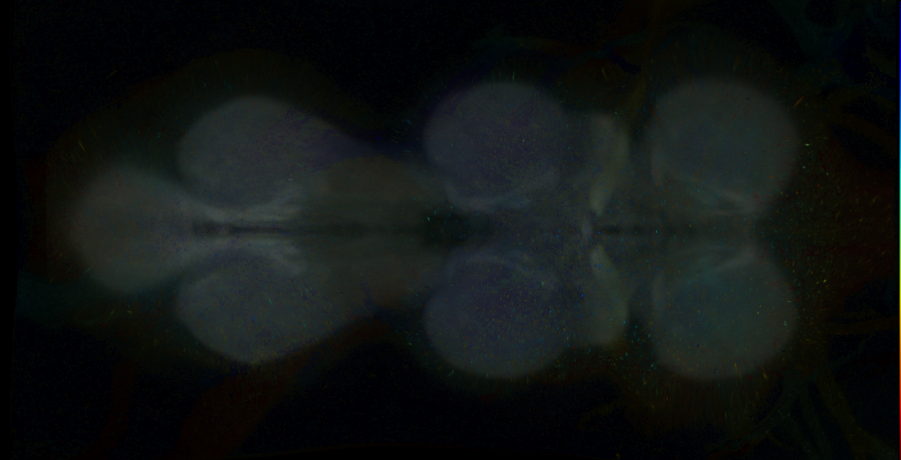 P{GMR30B08-GAL4} expression pattern