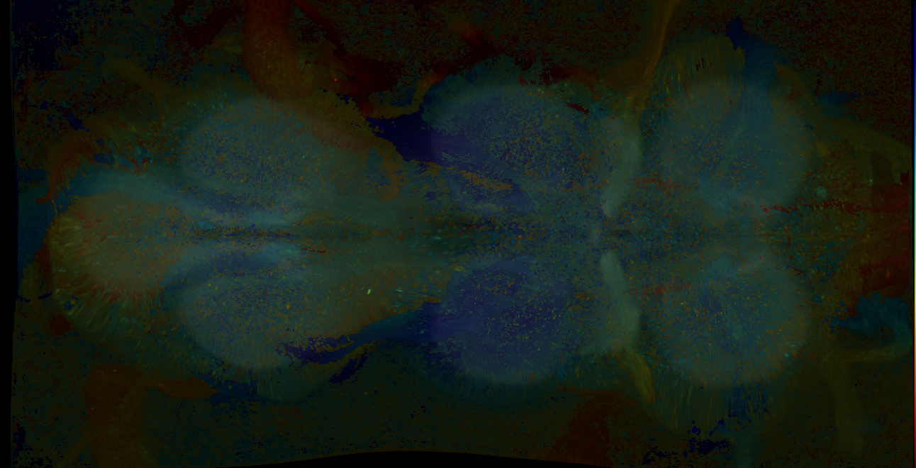 P{GMR83E07-GAL4} expression pattern
