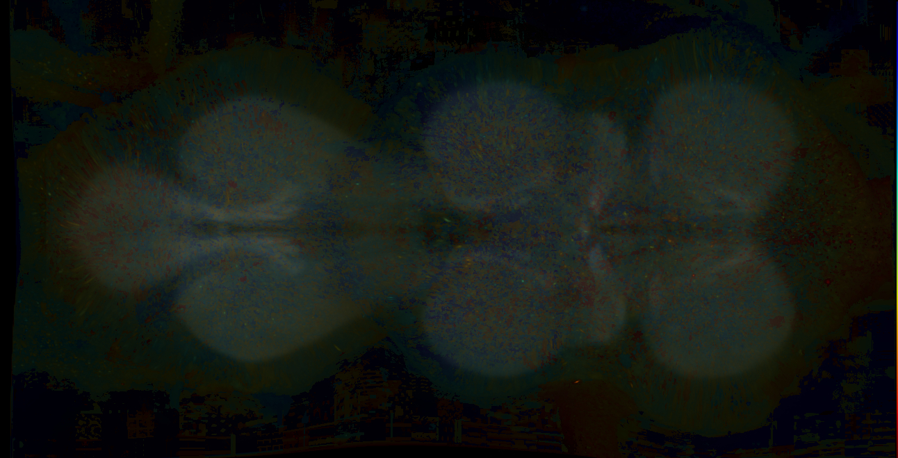 P{GMR10C01-lexA} expression pattern