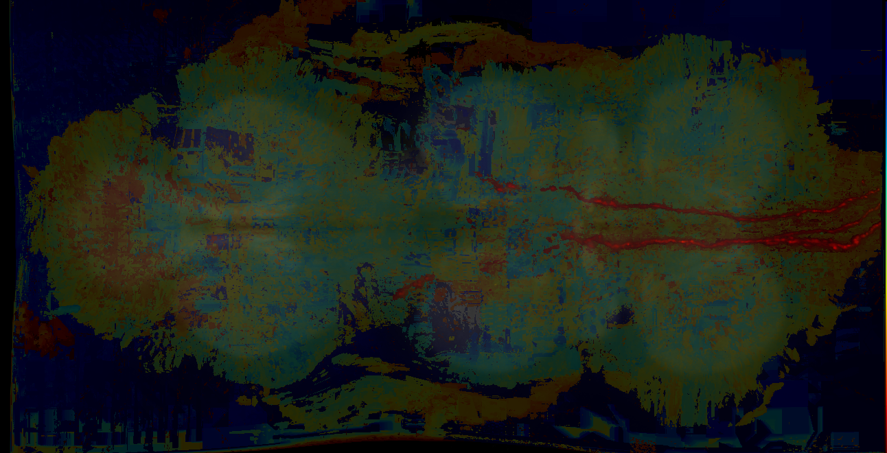 P{GMR10F08-lexA} expression pattern