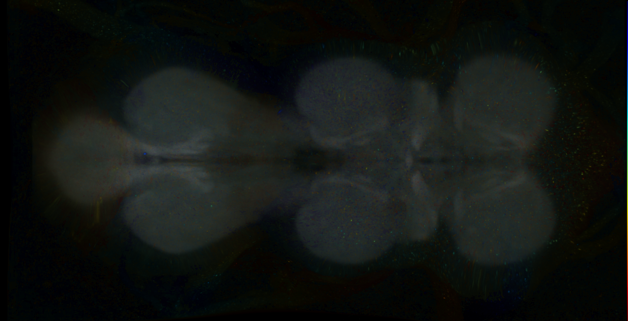 P{GMR11D03-lexA} expression pattern