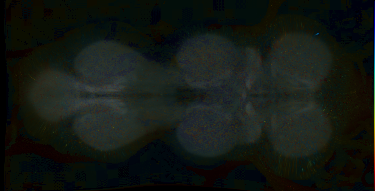 P{GMR16D10-lexA} expression pattern