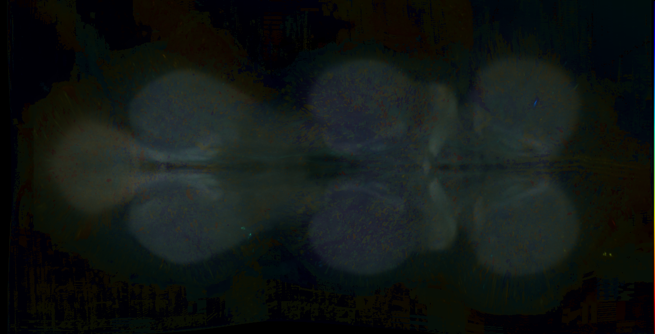 P{GMR17F09-lexA} expression pattern
