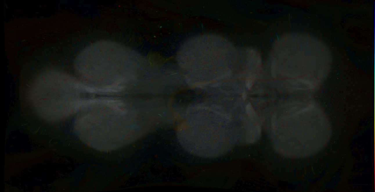 P{GMR18C12-lexA} expression pattern