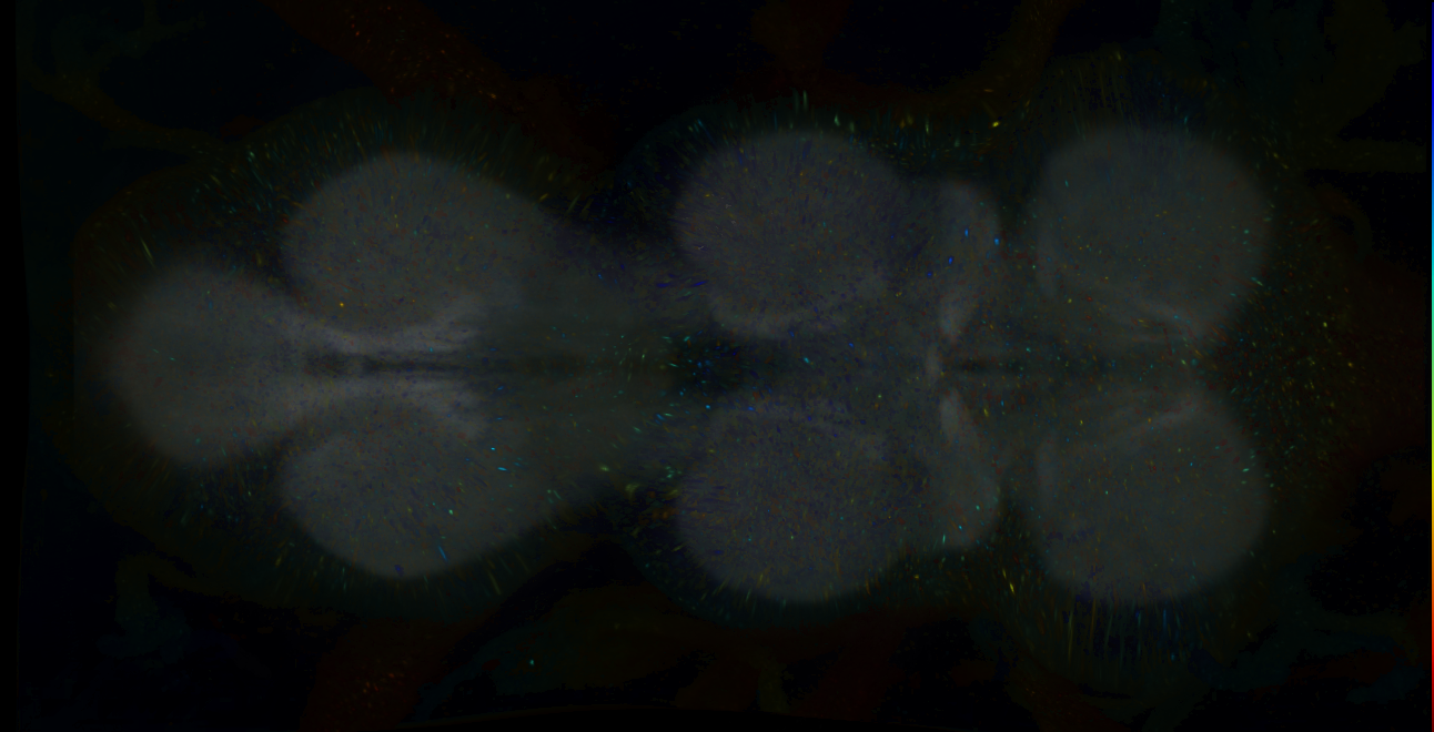 P{GMR19C02-lexA} expression pattern