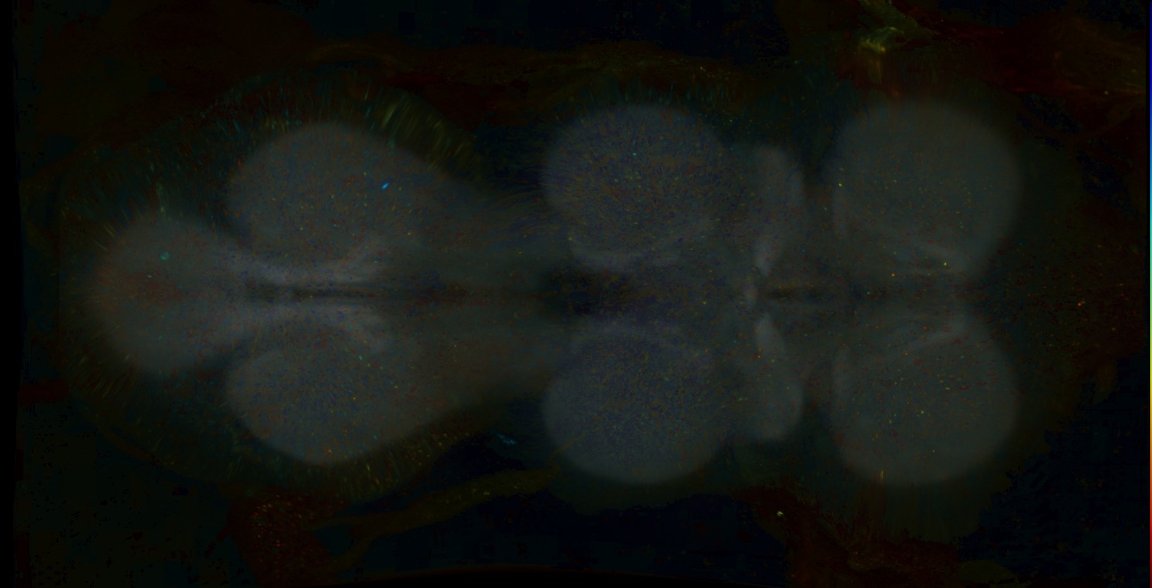 P{GMR21F02-lexA} expression pattern