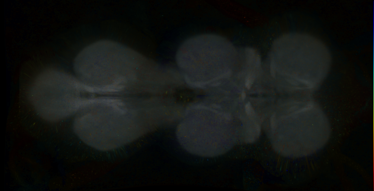 P{GMR23D10-lexA} expression pattern
