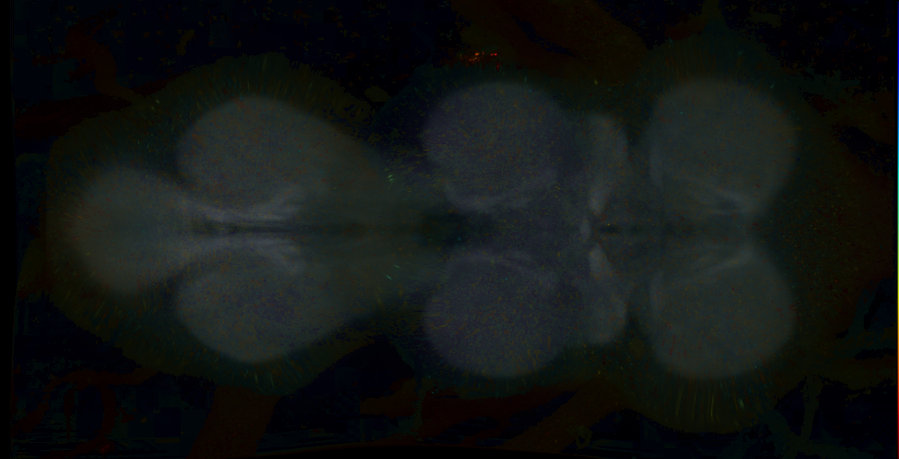 P{GMR47F07-lexA} expression pattern