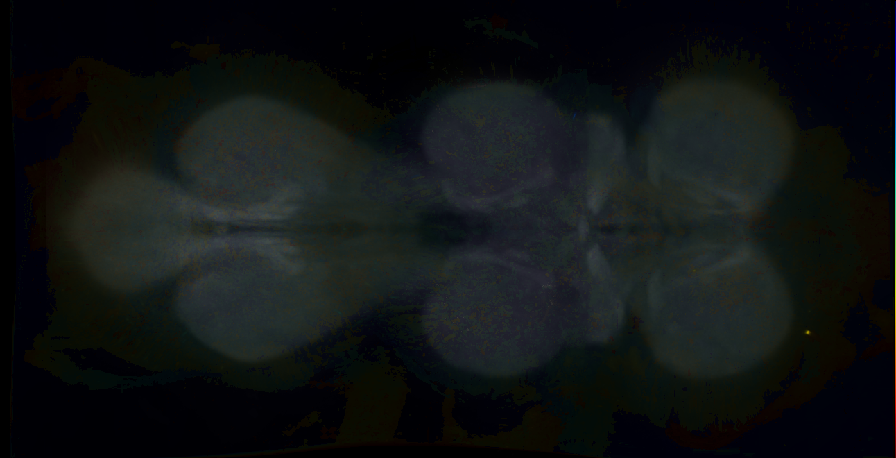 P{GMR81C10-lexA} expression pattern