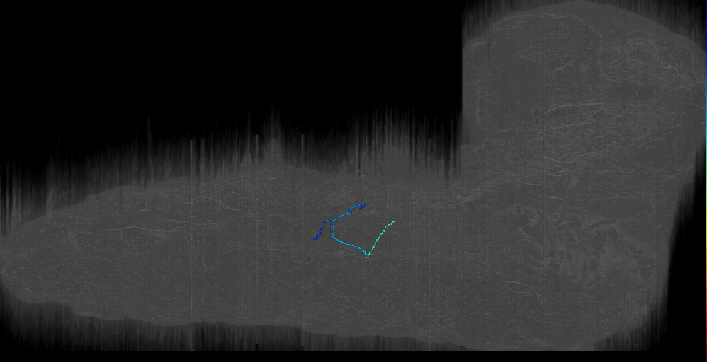 SN motor neuron a1r ventral dendrite (L1EM:3641568)