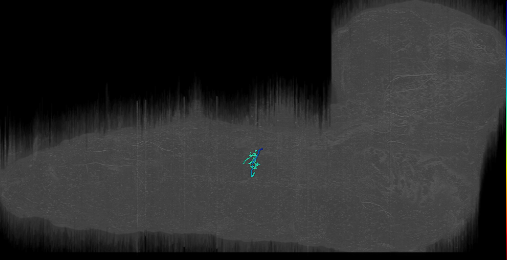 dmd1_a1r_JMpair3 (L1EM:15551560)