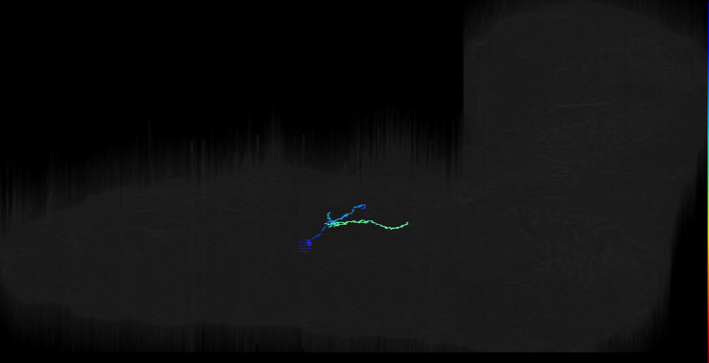 SN motor neuron a1r bilateral (L1EM:16042164)