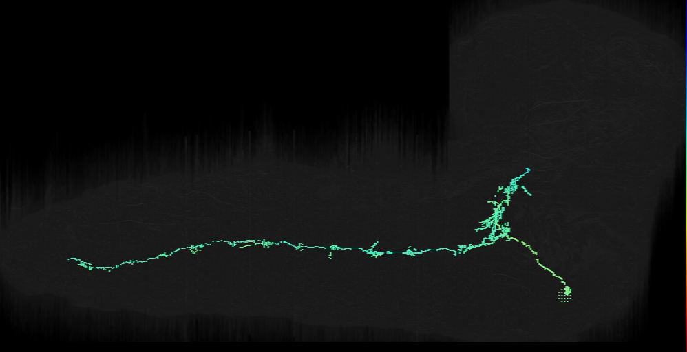 larval SeIN138 neuron