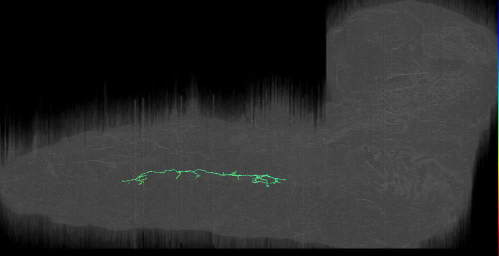 A00c_A8l? (L1EM:5731368)